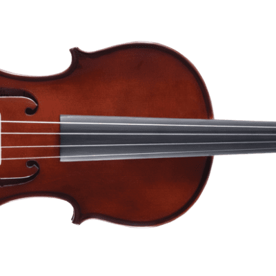 Palatino VN-350 Campus Student 4/4 Full-Size Violin Outfit with Case, Bow 2020s Natural image 2