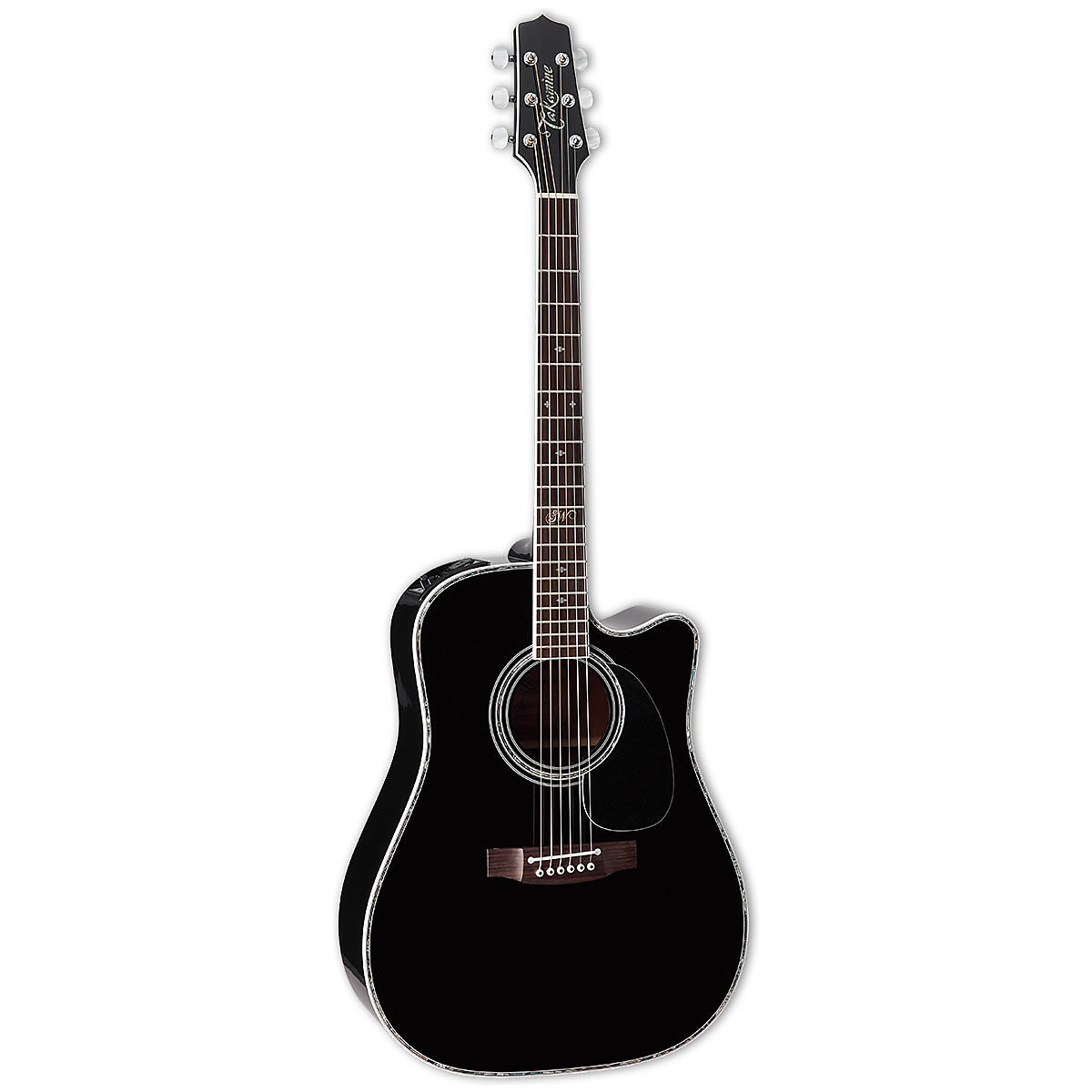 Takamine SW341SC Signature Series Steve Wariner Model Dreadnought