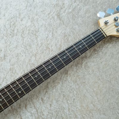 Xotic XJ-1T 5st Heavy Aged w/Mint PG -Vintage White- 2024