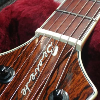 Benavente 2K Custom  T-Rex Guitar image 17