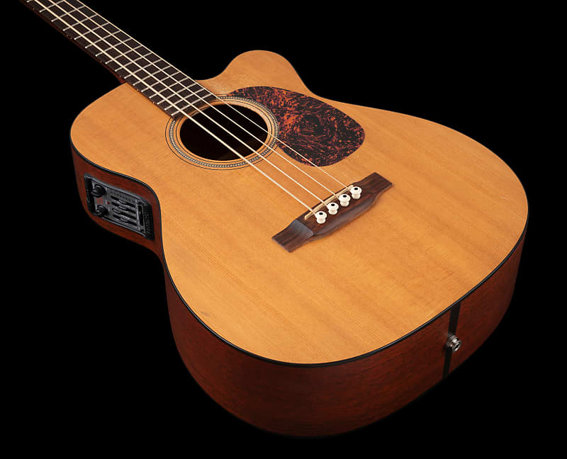 ベース Martin BC-16GTE Martin 16 Series BC-16E Acoustic/Electric Bass Guitar
