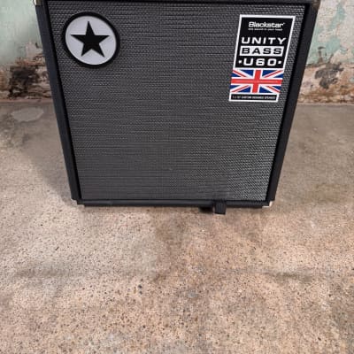 Acoustic Image Coda R Series IIa - perfect for upright bass, AC