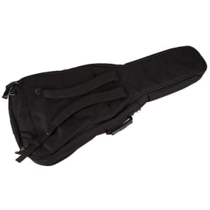 Fender metro gig bag cheap