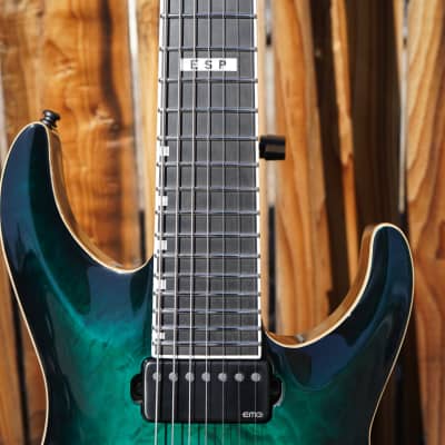 E-Ⅱ HORIZON FR-7 ESP E-II Horizon FR-7 - Black | Sweetwater