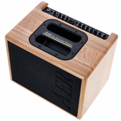 AER Compact-60/4-ONT | 60W Acoustic Amp w/ 8" Speaker, Natural Oak. New with Full Warranty! image 13