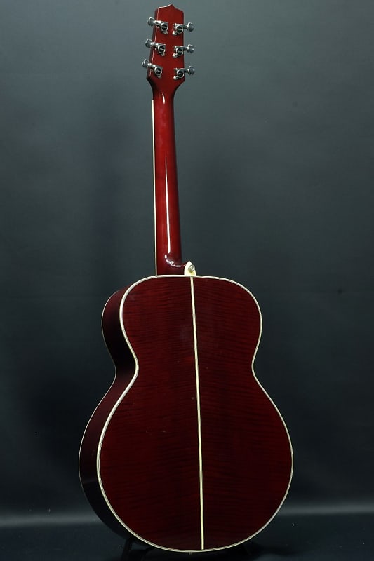 Takamine Pt100 Sp (06/01)