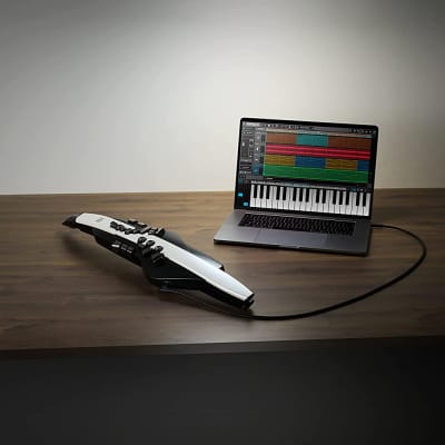 Roland AE-20 Aerophone Digital Wind Instrument - Matte Black and White image 5