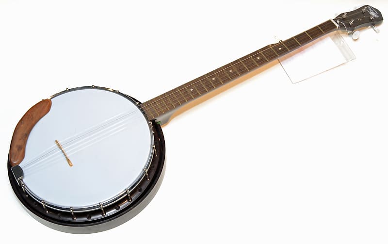 Regal 5-String Banjo 60s-70s? Natural - Pro Setup image 1