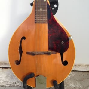 Gibson A-40 Mandolin 1950s Natural blond image 2