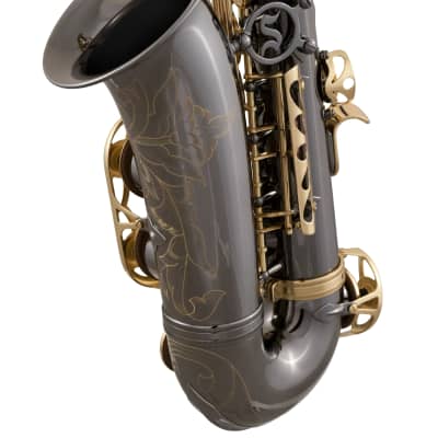 Selmer SAS411 Alto Sax Outfit - Black Nickel Finish image 3