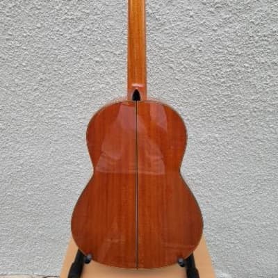 Cordoba C9 Parlor Classical Guitar Natural 2023 image 10