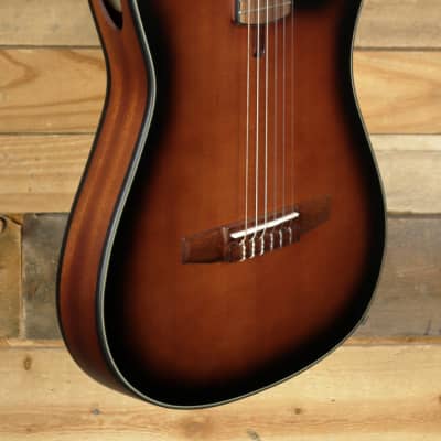 Ibanez FRH10N Acoustic/Electric Nylon Guitar Brown Sunburst  Flat for sale