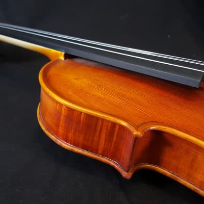 Vivace 4/4 Violin, Case & Bow EM 230 Satin Finish Solid Top image 11