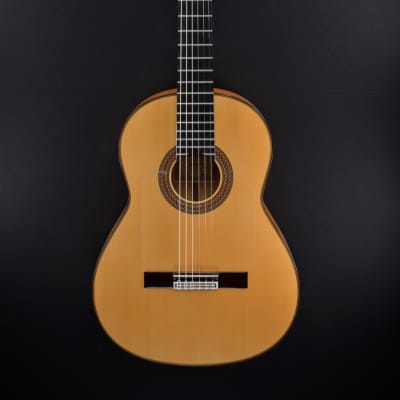 Esteve Flamenco Guitar Model 8F image 11