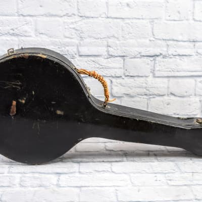 Washburn  4 String Tenor Banjo w/ Hard Case image 10