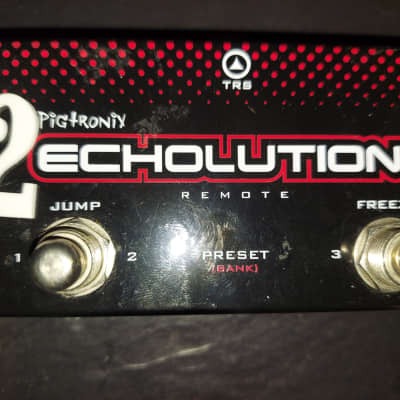 Pigtronix Echolution 2 Deluxe + Remote image 4