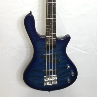Washburn T14エレキベース Washburn T14エレキベース Washburn T14 Electric Bass Guitar