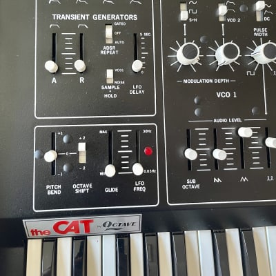 Octave Plateau Cat SRM II Vintage Analog Synthesizer 1980s image 5
