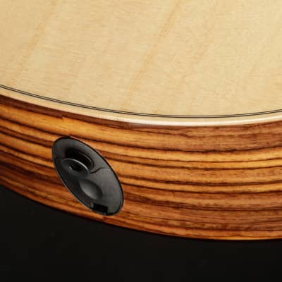 Taylor GS Mini-e Rosewood Plus image 17