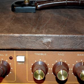 Vintage Acoustic G60T Model 163 Tube Guitar Amplifier image 7