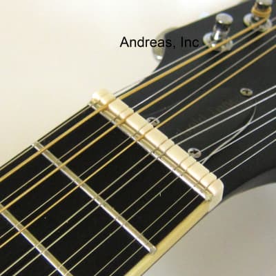 F-Style 12-String Mando-Guitar w/ Hardshell Case image 8