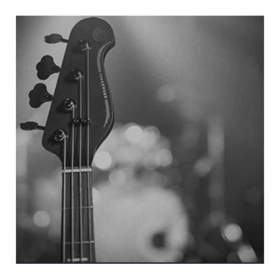 Yamaha BB235 BL 5 String Electric Bass Guitar (Rosewood Fingerboard, Black) image 6