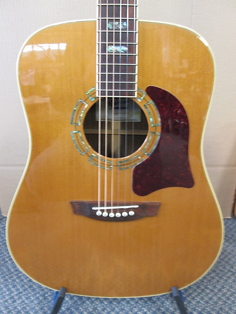 Garrison Garrison AG-700 | Reverb
