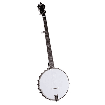 Rover RB-110 Front Porch Student 5-String Openback Banjo