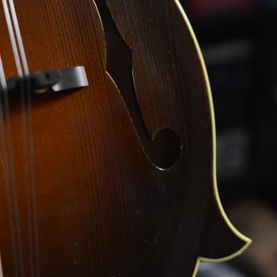 Lebeda F5 Standard+ Mandolin 2005 - Tobacco Sunburst image 9