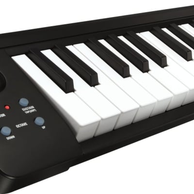 Korg MicroKey2 Compact MIDI/USB Keyboard Black - 25 Key image 1