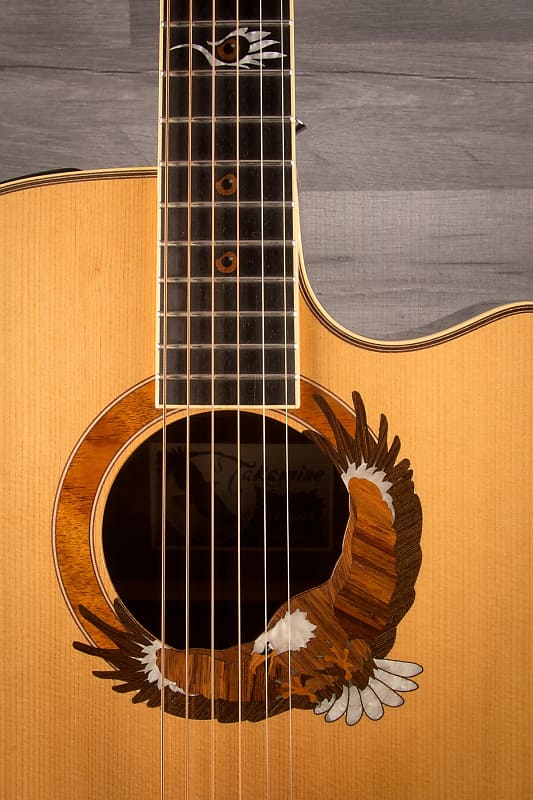 Takamineタカミネ/LTD-2003Eagle TAKAMINE 2003 LIMITED EDITION for sale - Price and Used Value