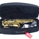 Selmer SeleS Model 52 Axos Alto Saxophone