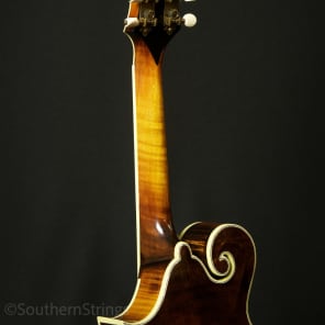 Apitius Classic F-Style Mandolin - Black Cherry Sunburst image 12