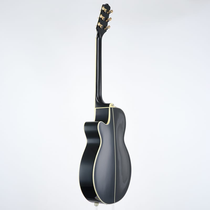 Takamine Takamine NPT-115 SG [SN 30070006] (04/29) | Reverb