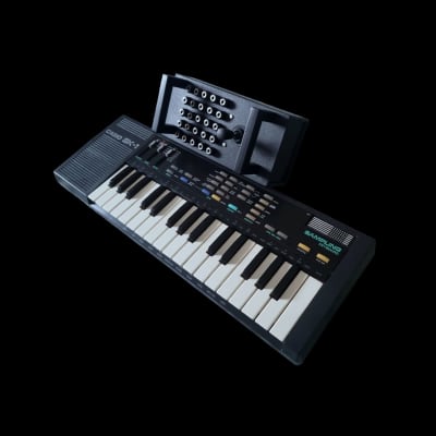 Casio keyboard online reverb