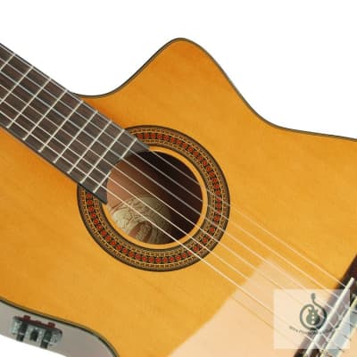 Washburn C64SCE Classical Cutaway Acoustic-Electric Solid Spruce Top, Mahogany Back & Sides image 2