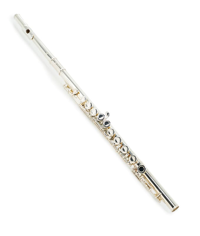 Pre-Owned Eastman EFL210 Student C Flute - Closed Hole | Used image 1