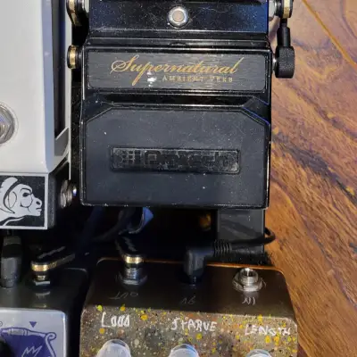 DigiTech Supernatural Stereo Ambient Reverb Pedal