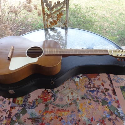 1960's Jackson Octave Mandolin / Double Irish Tenor Guitar - Period Case image 15