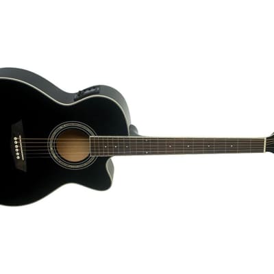 Washburn Festival Series EA10 Petite Jumbo Acoustic-Electric Guitar (LDWS) (DEC23)