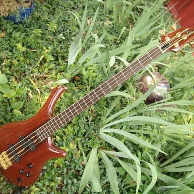 ESP Custom Shop Order SUGI (E) Bass  2011 Purple Heart Wood & Wenge CoA One of a Kind !! image 2