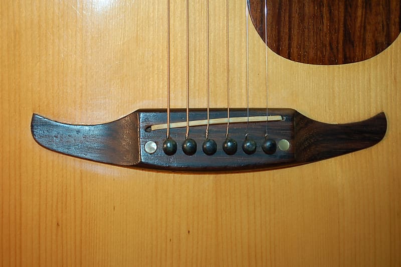 Video Demo 1975 Montano by Takamine F190 Folk Guitar Concert