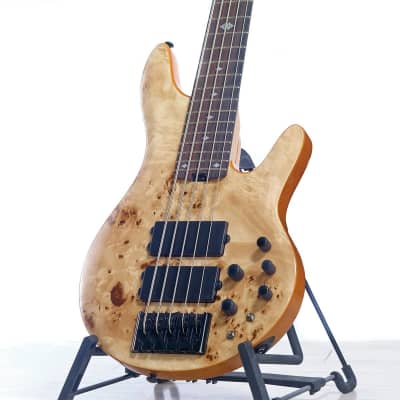 Michael Kelly Pinnacle 5 5-String Bass Guitar (Hollywood, CA) image 9