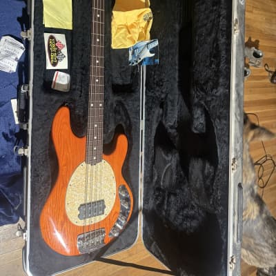 Ernie Ball Music Man 2007 Stingray 4 Dargie Delight Limited