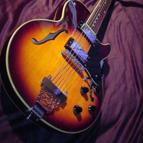 Jay Turser JT134DC Semi Hollow Sunburst 339 Style Electric