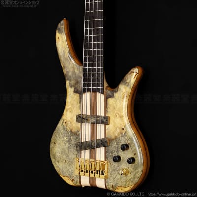 Phoenix by Tune Guitars PH-2-5 Custom Order [Buckeye Burl Top