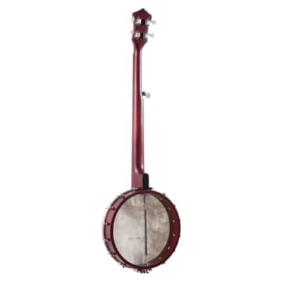 Recording King RKH-05 Dirty 30s Resonator Banjo, Satin image 2