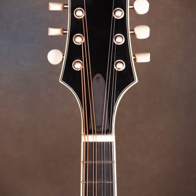 Bourgeois M5-A Aged A-style mandolin Brand New image 9