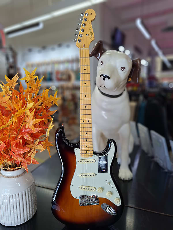 Fender American Professional II Stratocaster | Reverb