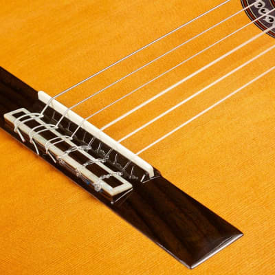 Cordoba C9 Classical Guitar Cedar/Mahogany image 6